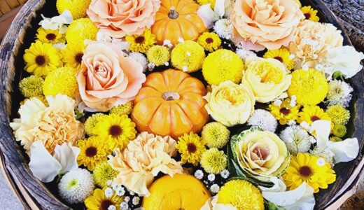 ののちゃんの二十四節気のおはなし〜冬至〜